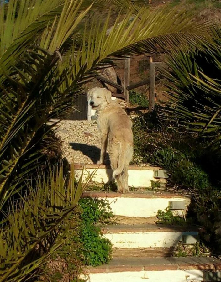 فندق Casa Colina Comares المظهر الخارجي الصورة